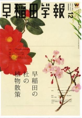 早稲田の杜の植物散策