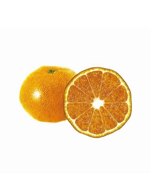 みかん